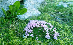 DSCF2223_1.JPG